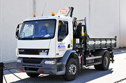 Autocarro DAF 180, con gru. (Foto: Massimo Mormile)